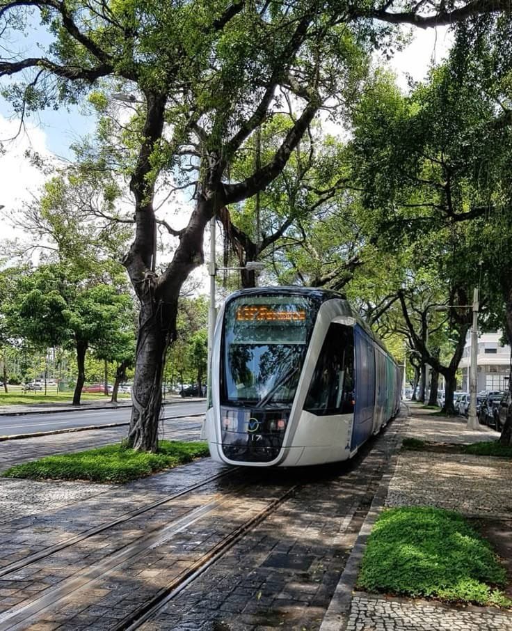 Tree-lined tram corridor representing Net Zero Industries mobility and urban greening